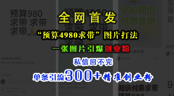 小红书“预算4980带我飞”图片打法，一张图片引爆创业粉，私信回不完，单条引流300+精准创业粉-源码天堂