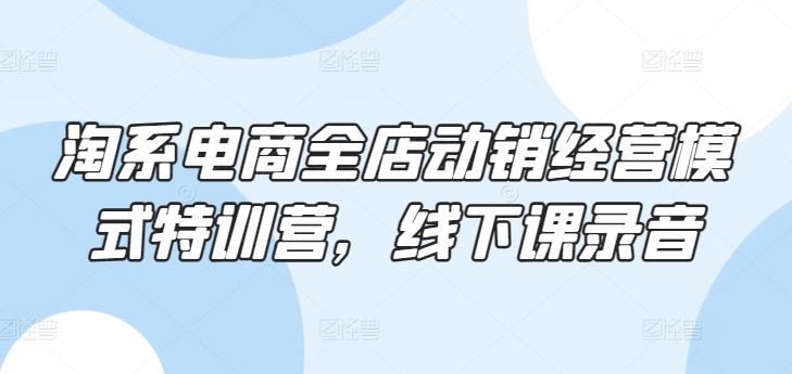淘系电商全店动销经营模式特训营，线下课录音-源码天堂