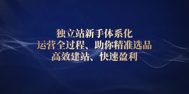 独立站新手体系化 运营全过程，助你精准选品、高效建站、快速盈利-源码天堂