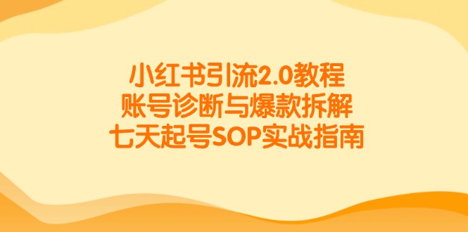 小红书引流2.0教程，账号诊断与爆款拆解，七天起号SOP实战指南-源码天堂