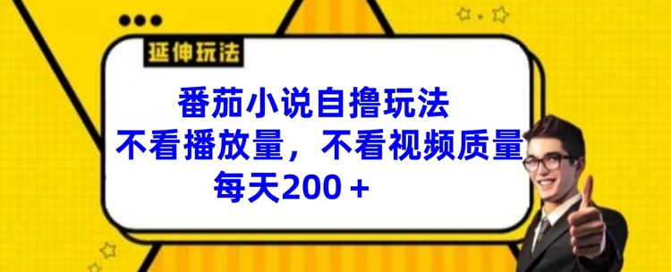 番茄小说自撸玩法，不看播放量，不看视频质量，每天200+【揭秘】-源码天堂