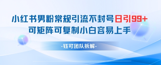小红书男粉常规引流不封号日引99+变现简单 可矩阵可复制小白容易上手-源码天堂