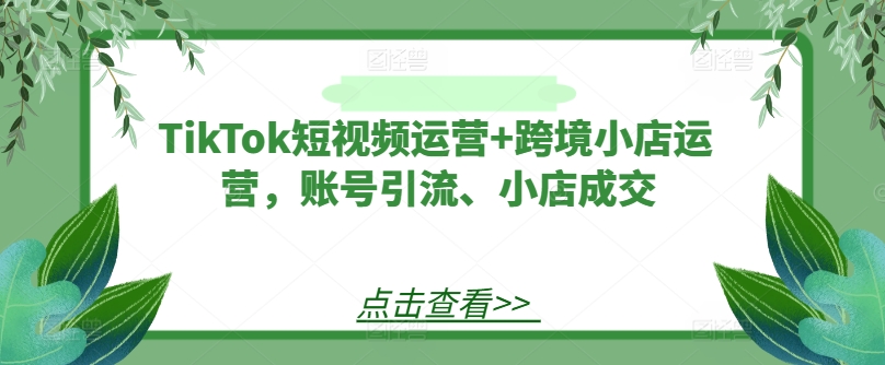 TikTok短视频运营+跨境小店运营，账号引流、小店成交-源码天堂