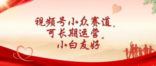 视频号小众赛道，可长期运营，小白友好【揭秘】-源码天堂