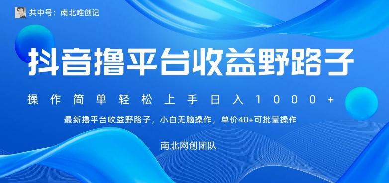 最新撸抖音平台收益野路子，操作简单，单价高，小白可无脑操作可日入1000+-源码天堂