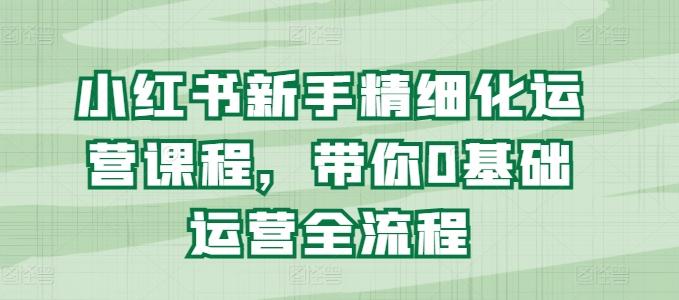 小红书新手精细化运营课程，带你0基础运营全流程-源码天堂