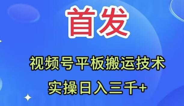 全网首发：视频号平板搬运技术，实操日入三千＋-源码天堂