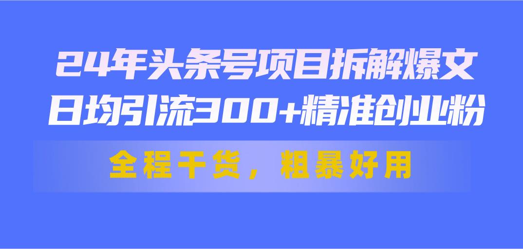 24年头条号项目拆解爆文，日均引流300+精准创业粉，全程干货，粗暴好用-源码天堂