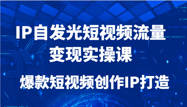 IP自发光短视频流量变现实操课，爆款短视频创作IP打造-源码天堂