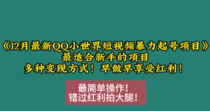 12月最新QQ小世界短视频暴力起号项目，最适合新手的项目，多种变现方式-源码天堂