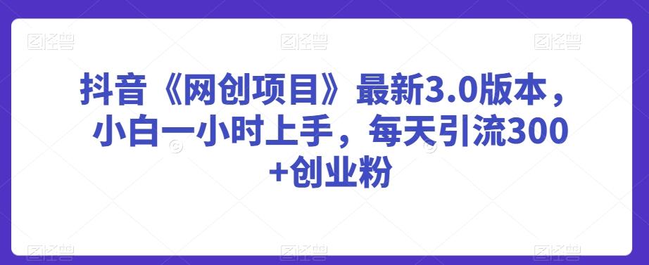 抖音《网创项目》最新3.0版本，小白一小时上手，每天引流300+创业粉【揭秘】-源码天堂