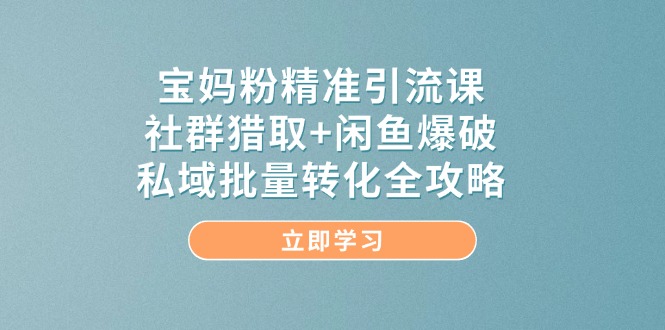 宝妈粉精准引流课，社群猎取+闲鱼爆破，私域批量转化全攻略-源码天堂
