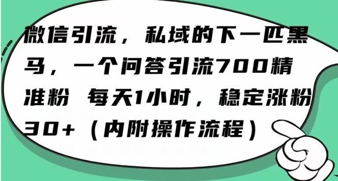 怎么搞精准创业粉？微信新赛道，每天一小时，利用Ai一个问答日引100精准粉-源码天堂