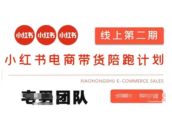 小红书电商带货课2期，月利润20个的小红书电商的有货源，无货源，虚拟产品，付费投流等整套玩法-源码天堂