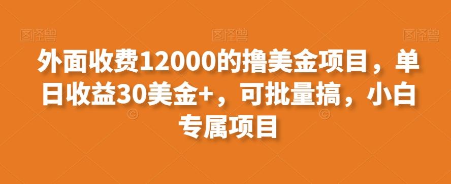 外面收费12000的撸美金项目，单日收益30美金+，可批量搞，小白专属项目-源码天堂