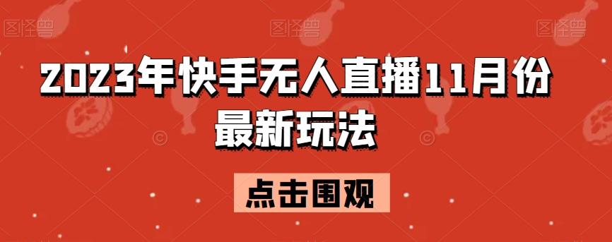 2023年快手无人直播11月份最新玩法-源码天堂