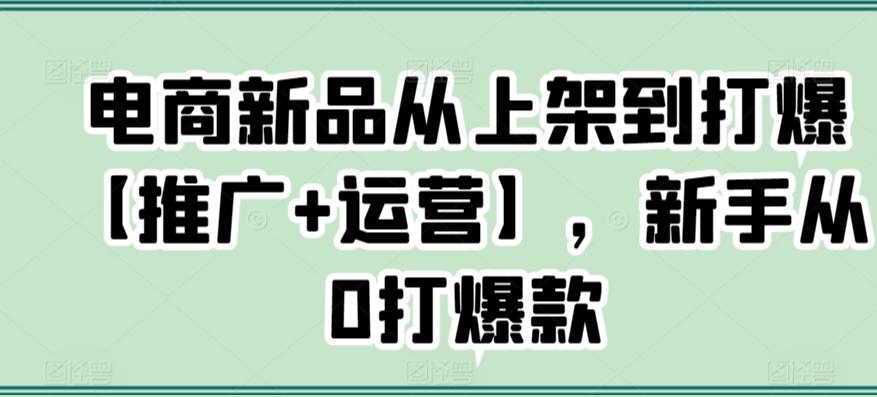 电商新品从上架到打爆【推广+运营】，新手从0打爆款-源码天堂