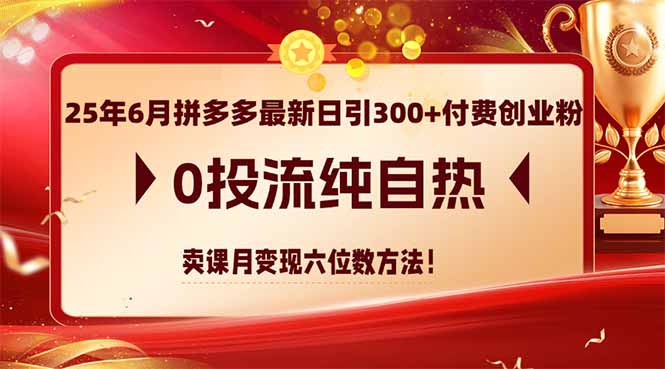 25年6月拼多多最新日引300+付费创业粉，0投流纯自热 卖课月变现六位数方法-源码天堂