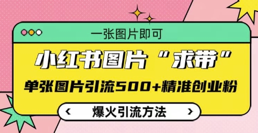 小红书图片‘求带’爆火引流法，单张图片引流500+精准创业粉【揭秘】-源码天堂