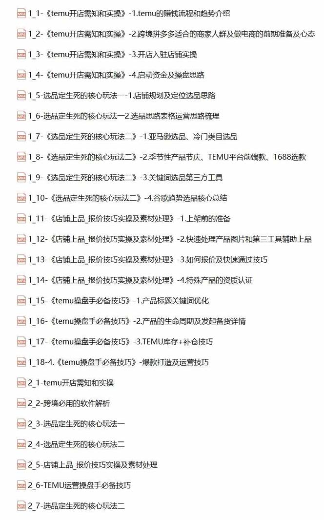 2024-TEMU拼多多·跨境开店、运营、选品(25节视频课-源码天堂