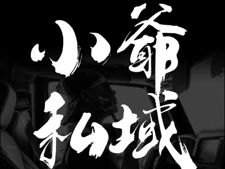 小爷·私域项目操盘手-源码天堂