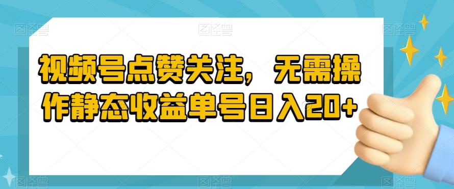 视频号点赞关注，无需操作静态收益单号日入20+-源码天堂
