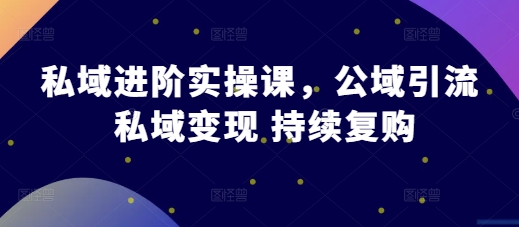 私域进阶实操课，公域引流 私域变现 持续复购-源码天堂