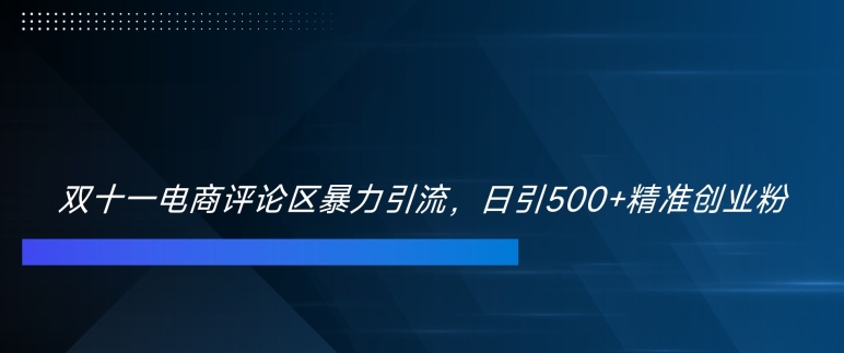 双十一电商评论区暴力引流，日引500+精准创业粉【揭秘】-源码天堂