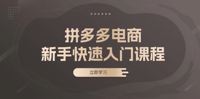 拼多多电商新手快速入门课程：涵盖基础、实战与选款，助力小白轻松上手-源码天堂