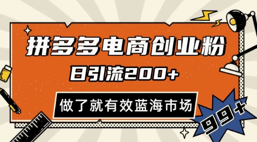 拼多多引流电商创业粉，日引200+，可矩阵放大，做了就有效【揭秘】-源码天堂