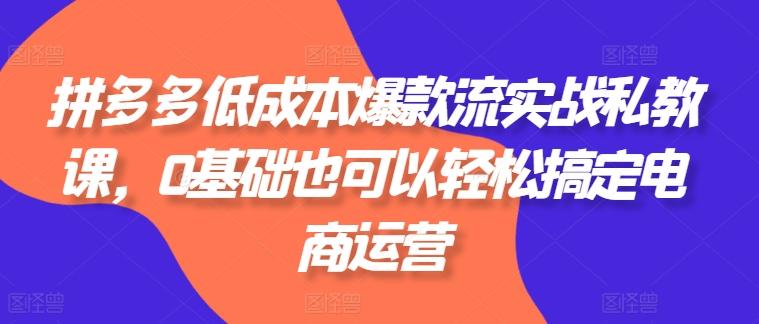 拼多多低成本爆款流实战私教课，0基础也可以轻松搞定电商运营-源码天堂