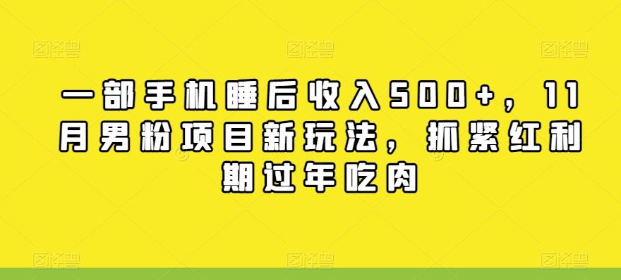 一部手机睡后收入500+，11月男粉项目新玩法，抓紧红利期过年吃肉-源码天堂