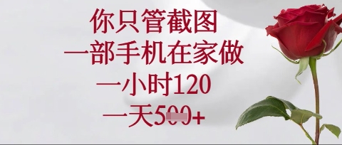 你只管截图，一部手机在家操作，一小时120.一天5张【揭秘】-源码天堂
