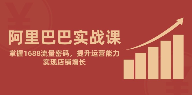 阿里巴巴实战课：掌握1688流量密码，提升运营能力，实现店铺增长-源码天堂