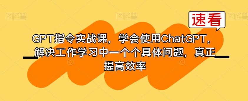 GPT指令实战课，学会使用ChatGPT，解决工作学习中一个个具体问题，真正提高效率-源码天堂