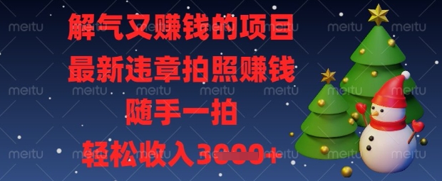 解气又挣钱的项目，最新违章拍照挣钱，随手一拍，轻松收入数张【揭秘】-源码天堂