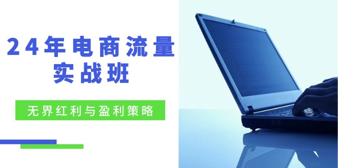 24年电商流量实战班：无界 红利与盈利策略，终极提升/关键词优化/精准…-源码天堂
