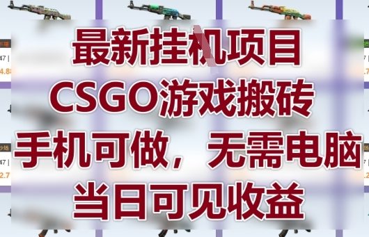 最新挂G项目，CSGO游戏搬砖，手机可做，无需电脑，当日见收益【揭秘】-源码天堂