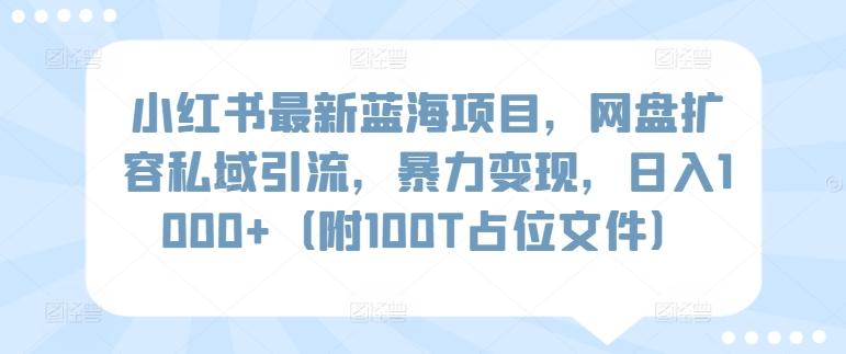 小红书最新蓝海项目，网盘扩容私域引流，暴力变现，日入1000+(附100T占位文件)【揭秘】-源码天堂