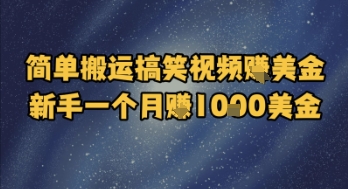简单搬运搞笑视频挣美金，新手一个月入1k美金-源码天堂