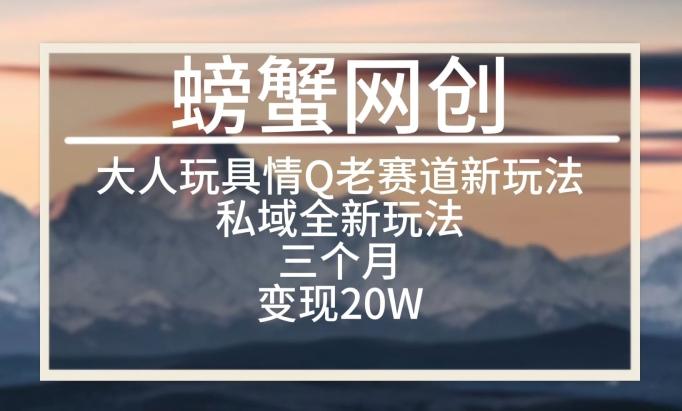 大人玩具情Q用品赛道私域全新玩法，三个月变现20W，老项目新思路【揭秘】-源码天堂